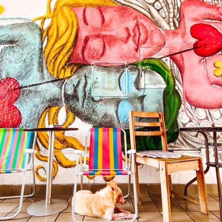 Zili Pernambuco - Hostel Pousada レシフェ エクステリア 写真