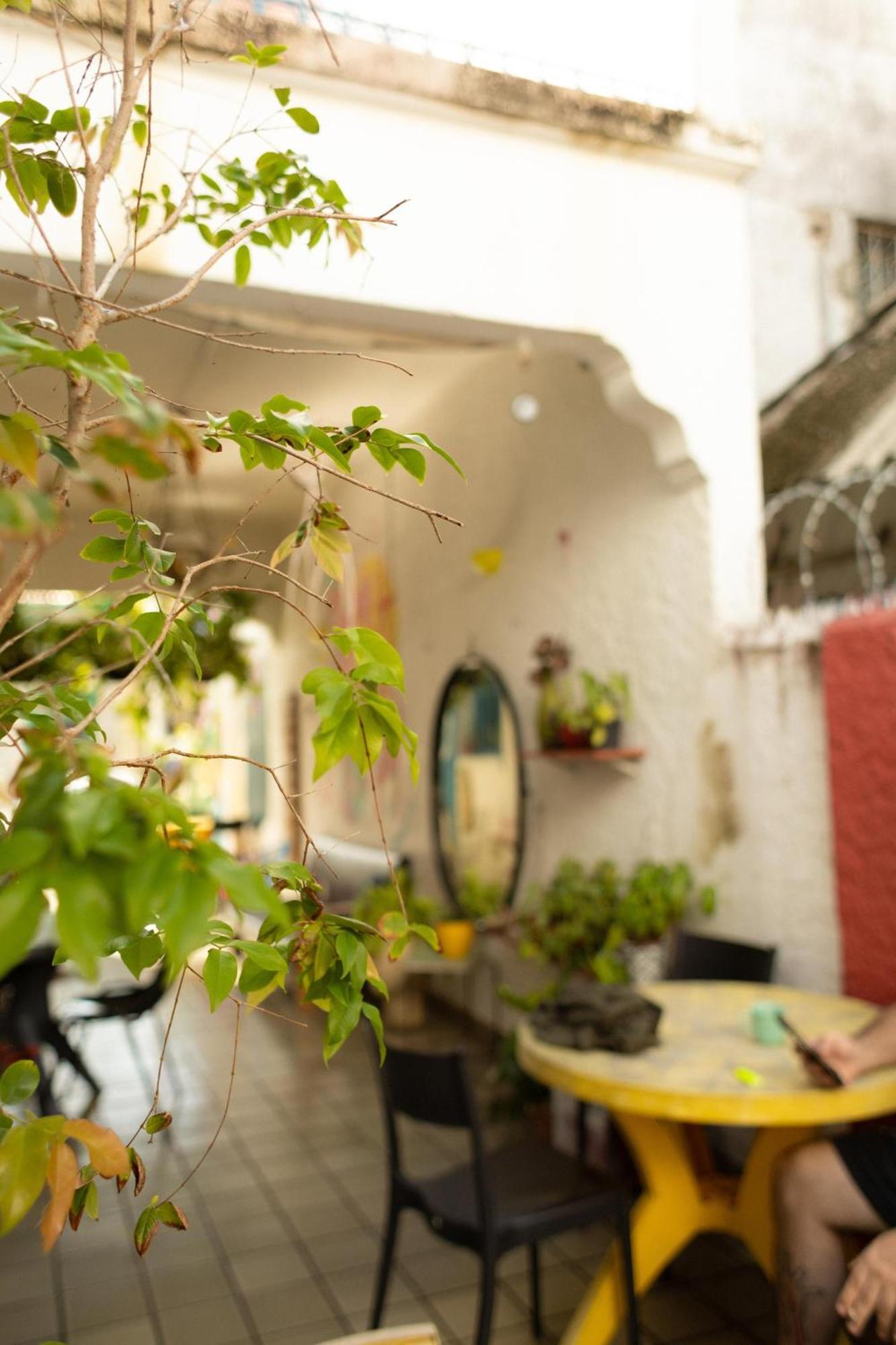 Zili Pernambuco - Hostel Pousada レシフェ エクステリア 写真